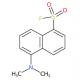 5-(二甲基氨基)萘-1-磺酰氟-CAS:34523-28-9