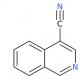 4-氰基异喹啉-CAS:34846-65-6