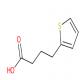 4-(2-噻吩)-丁酸-CAS:4653-11-6
