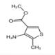 4-氨基-5-甲基噻吩-3-羧酸甲酯-CAS:81528-48-5