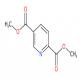 2,5-吡啶二羧酸二甲酯-CAS:881-86-7