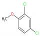 2,4-二氯苯甲醚-CAS:553-82-2