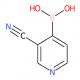 (3-氰基吡啶-4-基)硼酸-CAS:874290-89-8
