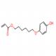6-(4-羟基苯氧基)己基丙烯酸酯-CAS:161841-12-9