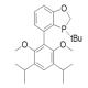 3-(叔丁基)-4-(3,5-二异丙基-2,6-二甲氧基苯基)-2,3-二氢苯并[d][1,3]氧磷杂环戊二烯-CAS:2634687-68-4