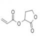 2-氧代四氢呋喃-3-羰基-丙烯酸酯-CAS:328249-37-2