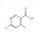 6-氯-4-甲基-3-吡啶羧酸-CAS:503555-50-8