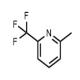 2-甲基-6-三氟甲基吡啶-CAS:1620-72-0