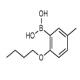 2-丁氧基-5-甲基苯基硼酸-CAS:480438-72-0