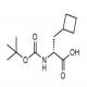 (R)-2-((叔丁氧羰基)氨基)-3-环丁基丙酸-CAS:478183-61-8