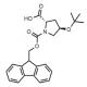 Fmoc-4-叔丁氧基-L-脯氨酸-CAS:122996-47-8