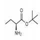 (S)-2-氨基丁酸叔丁酯-CAS:75190-94-2