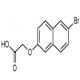 2-((6-溴萘-2-基)氧基)乙酸-CAS:141791-36-8